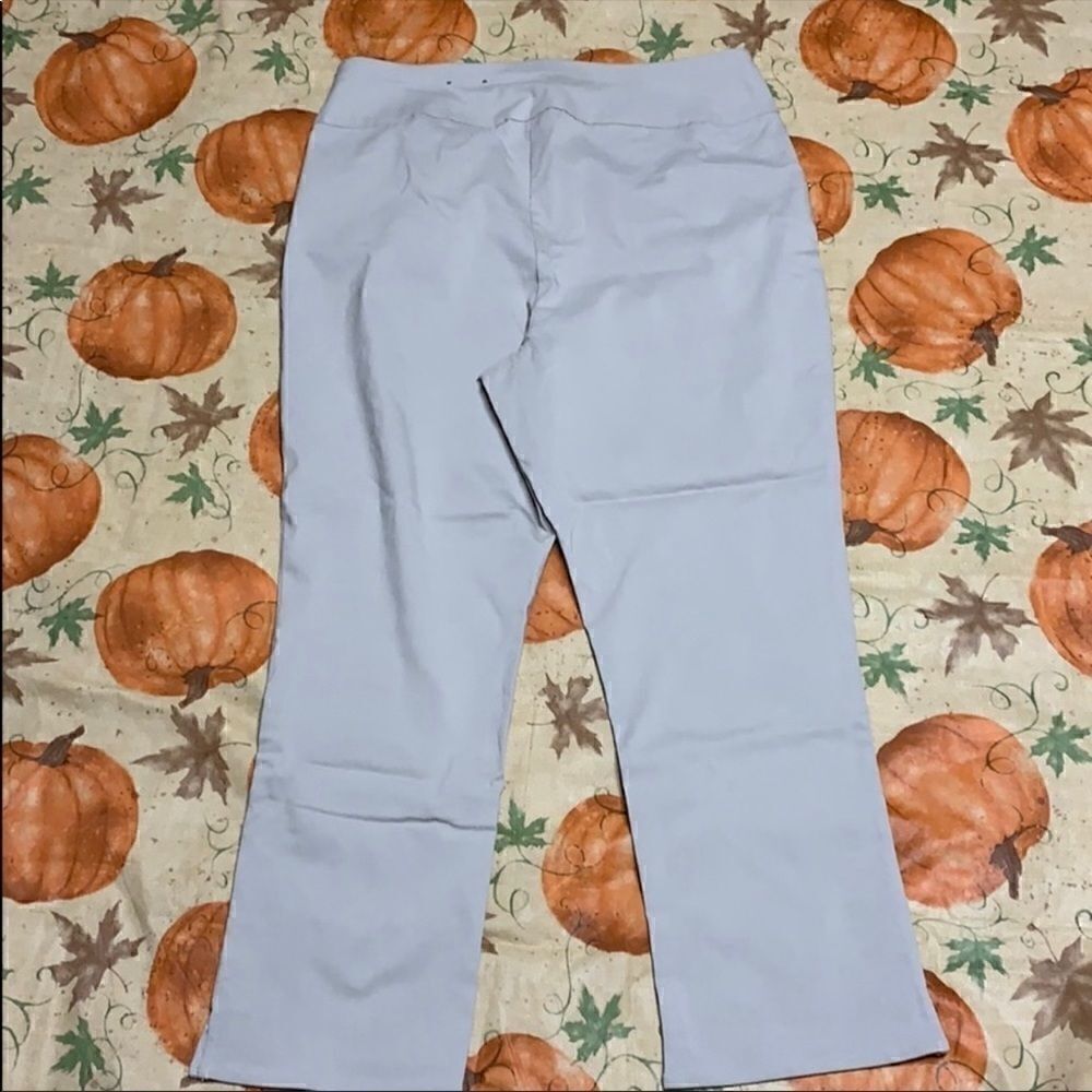 INC International Concepts Tribe pants NWT